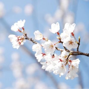 Meet your Posher, Tanya